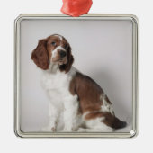 Springspaniel Metalen Ornament (Voorkant)