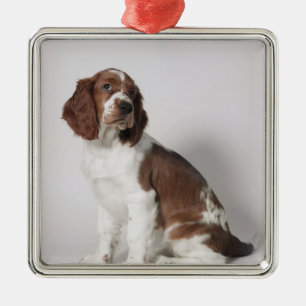 Springspaniel Metalen Ornament