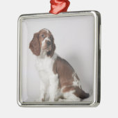 Springspaniel Metalen Ornament (Links)