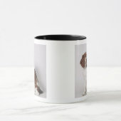 Springspaniel Mok (Midden)