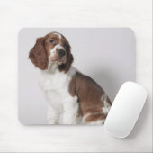Springspaniel Muismat (Met muis)