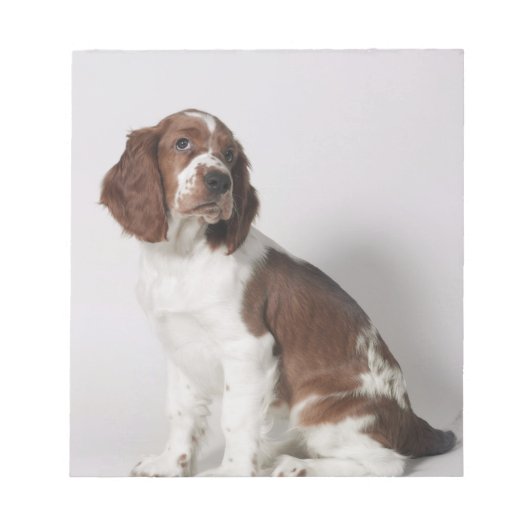 Springspaniel Notitieblok (Voorkant)
