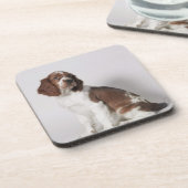 Springspaniel Onderzetter (Linkerzijde)