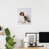Springspaniel Poster (Thuiskantoor)