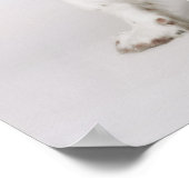 Springspaniel Poster (Hoek)