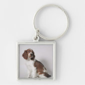 Springspaniel Sleutelhanger (Voorkant)