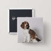 Springspaniel Vierkante Button 5,1 Cm (Voorkant /achterkant)