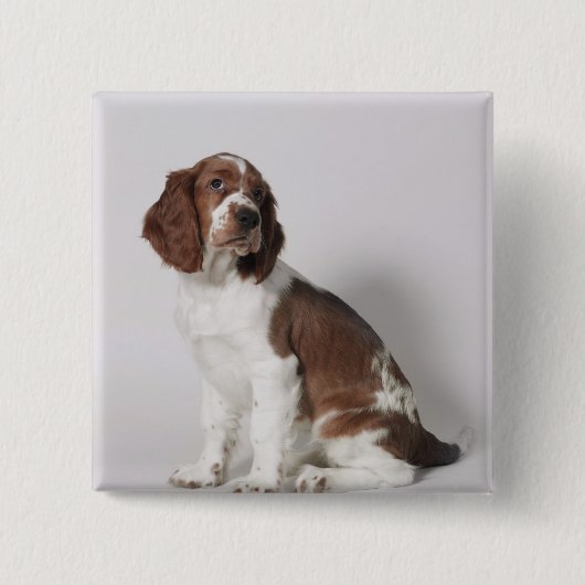 Springspaniel Vierkante Button 5,1 Cm (Voorkant)