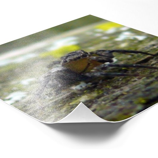 springspin foto afdruk (Hoek)