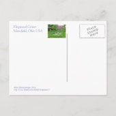 SPRINGSTROMEN IN BEAUTIFUELE KLEUREN" BRIEFKAART (Achterkant)