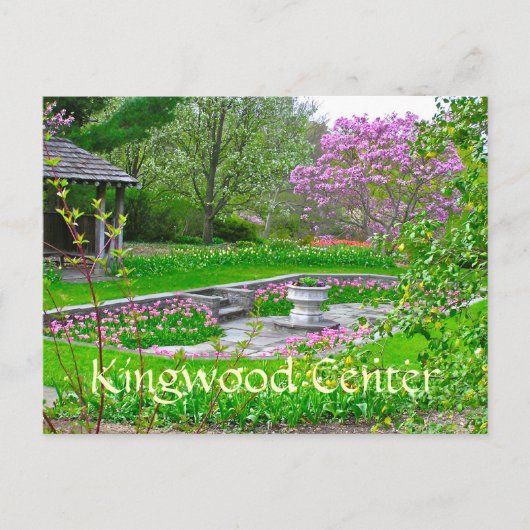 SPRINGSTROMEN IN BEAUTIFUELE KLEUREN" BRIEFKAART (Voorkant)