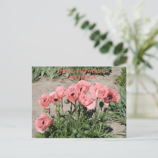 SPRINGSTROMEN IN DE MICHIGAANSE POSTKAART (Staand voorkant)