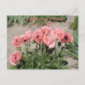 SPRINGSTROMEN IN DE MICHIGAANSE POSTKAART (Voorkant)