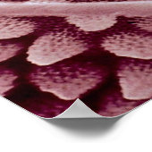 Springtail — achterzijde poster (Hoek)