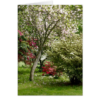 Springtime