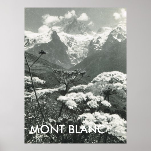 Springtime and snow, Mont Blanc, France Poster (Voorkant)