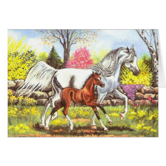 Springtime, Arabisch Mare en Foal