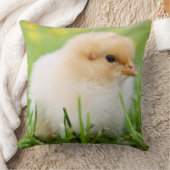 Springtime Baby Chick Kussen (Deken)