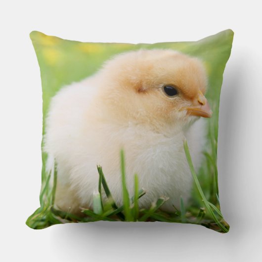 Springtime Baby Chick Kussen (Voorkant)
