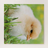 Springtime Baby Chick Legpuzzel (Horizontaal)
