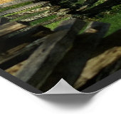 Springtime bij de John Oliver Cabin Poster (Hoek)