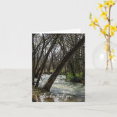 Springtime bij Finley River Thinking You Kaart (Gele Bloem)