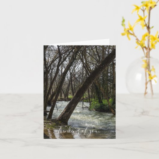 Springtime bij Finley River Thinking You Kaart (Gele Bloem)