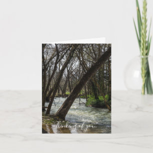 Springtime bij Finley River Thinking You Kaart