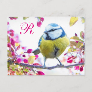 Springtime Bird Monogram Briefkaart