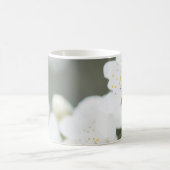 Springtime-bloei Koffiemok (Center)