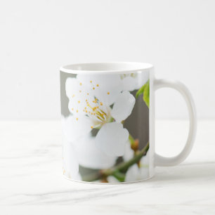 Springtime-bloei Koffiemok