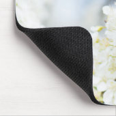 Springtime-bloei Muismat (Hoek)