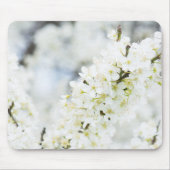 Springtime-bloei Muismat (Voorkant)