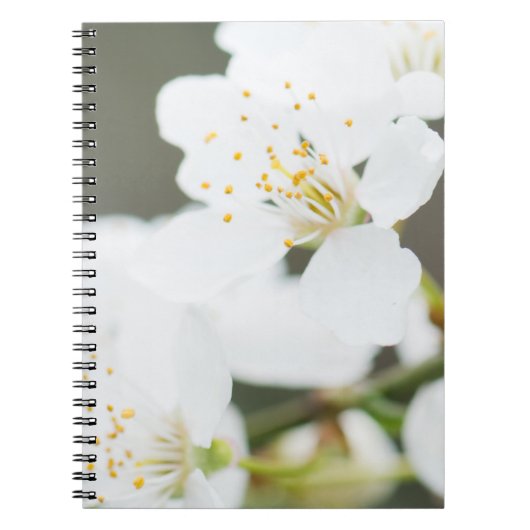 Springtime-bloei Notitieboek (Voorkant)