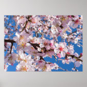 Springtime bloeit poster (Voorkant)