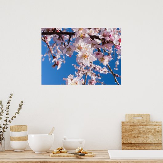 Springtime bloeit poster (Keuken)