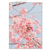 Springtime Blossom Blank Kaart (Voorkant)