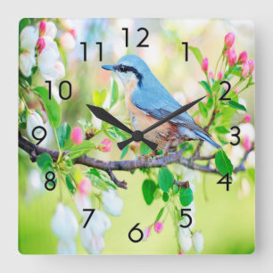 Springtime Blue Jay Vierkante Klok