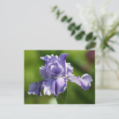 "Springtime Blues" Iris Photography Briefkaart (Staand voorkant)