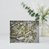 Springtime Briefkaart (Staand voorkant)