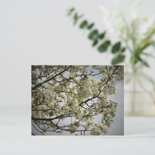 Springtime Briefkaart (Staand voorkant)