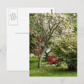 Springtime Briefkaart (Voorkant / Achterkant)