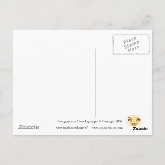 Springtime Briefkaart (Achterkant)