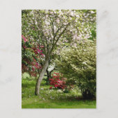 Springtime Briefkaart (Voorkant)