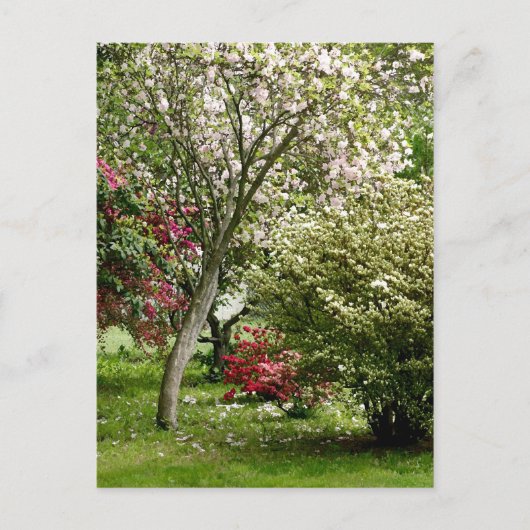 Springtime Briefkaart (Voorkant)