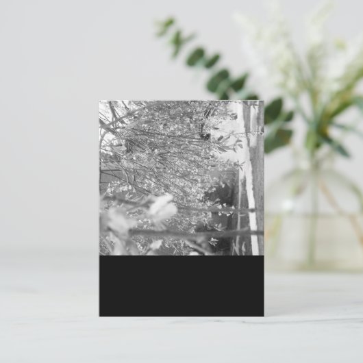 Springtime Briefkaart (Staand voorkant)