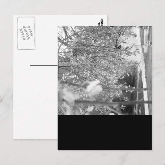 Springtime Briefkaart (Voorkant / Achterkant)