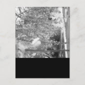 Springtime Briefkaart (Voorkant)