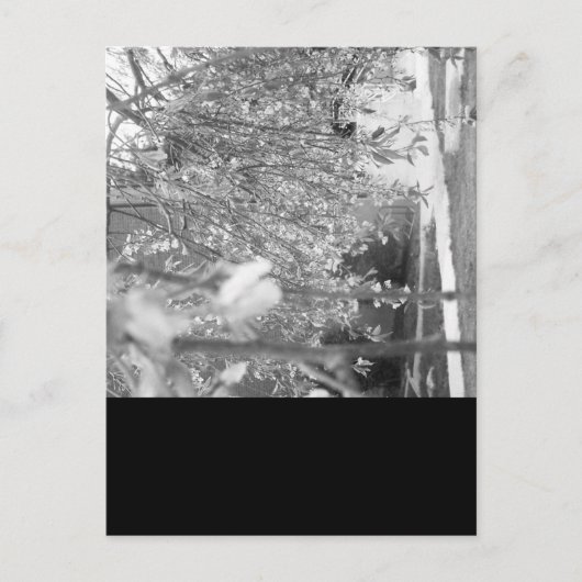 Springtime Briefkaart (Voorkant)