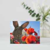Springtime Bunny Briefkaart (Staand voorkant)